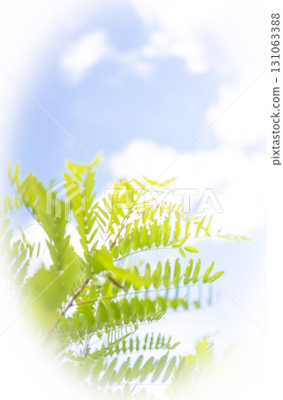 夏日的草和清爽的夏日天空，蒜山高原 131063388