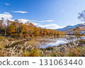 Shiga Kogen lotus pond with autumn leaves 131063440