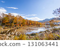 Shiga Kogen lotus pond with autumn leaves 131063441