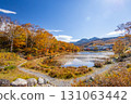 Shiga Kogen lotus pond with autumn leaves 131063442