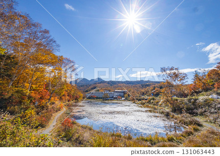 志賀高原荷花池的秋葉 志賀高原荷花池的秋葉 131063443