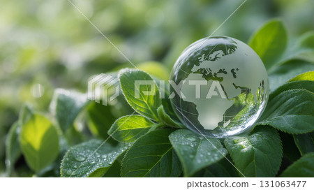 地球漂浮在新鮮綠葉上的圖像 地球漂浮在新鮮綠葉上的圖像 131063477
