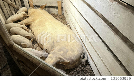 Large pig model with many small piglets Large pig model with many small piglets 131063939