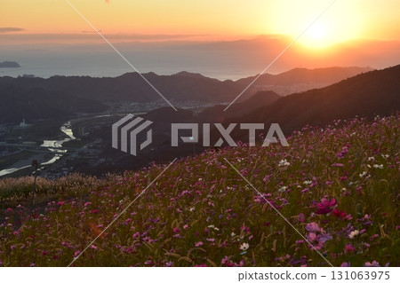 十月，和歌山縣有田川鷲峰宇宙公園的景色 131063975