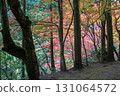 Okayama Prefecture's most famous autumn foliage spot, Okutsu Valley, is like a woodblock print 131064572