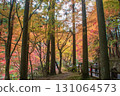 Okayama Prefecture's most famous autumn foliage spot, Okutsu Valley, is like a woodblock print 131064573