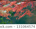 Okayama Prefecture's most famous autumn foliage spot, Okutsu Valley, is like a woodblock print 131064574