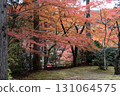 Okayama Prefecture's most famous autumn foliage spot, Okutsu Valley, is like a woodblock print 131064575