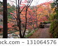 Okayama Prefecture's most famous autumn foliage spot, Okutsu Valley, is like a woodblock print 131064576