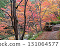 Okayama Prefecture's most famous autumn foliage spot, Okutsu Valley, is like a woodblock print 131064577