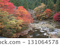 Okayama Prefecture's most famous autumn foliage spot, Okutsu Valley, is like a woodblock print 131064578