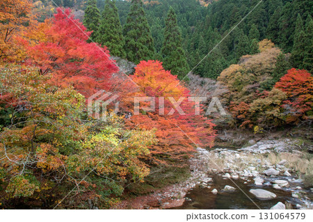 Okayama Prefecture's most famous autumn foliage spot, Okutsu Valley, is like a woodblock print Okayama Prefecture's most famous autumn foliage spot, Okutsu Valley, is like a woodblock print 131064579