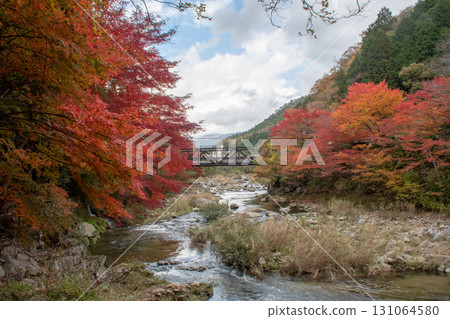 Okayama Prefecture's most famous autumn foliage spot, Okutsu Valley, is like a woodblock print 131064580