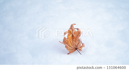 一片枯葉落在雪地上的圖片 131064600