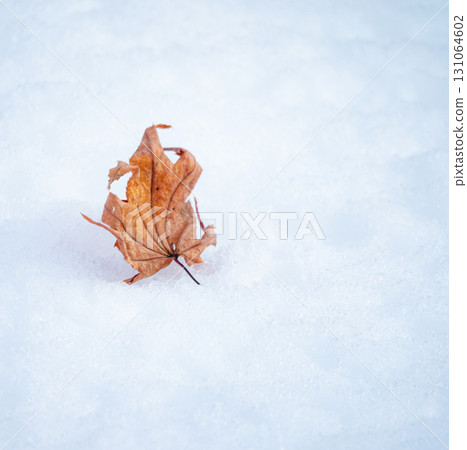 一片枯葉落在雪地上的圖片 131064602