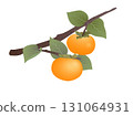 Persimmon branch 131064931