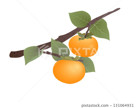 Persimmon branch 131064931