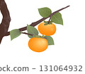 Persimmon tree 131064932