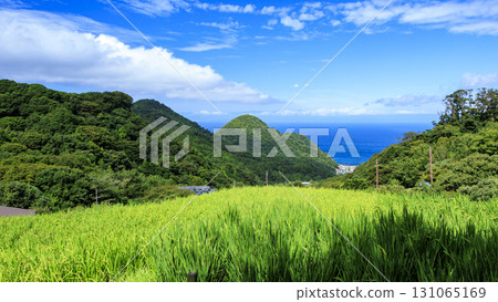 石部梯田的秋天 131065169