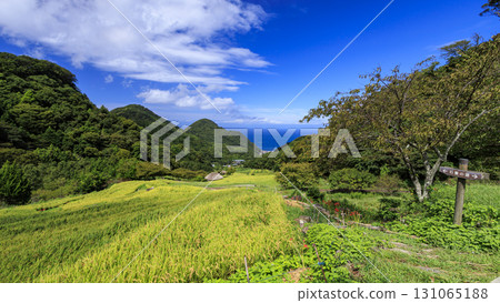 石部梯田的秋天 131065188