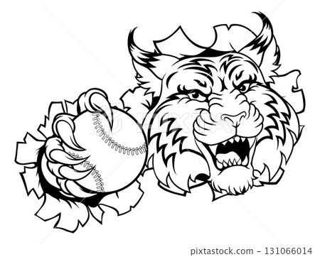 Wildcat Bobcat Baseball Ball Animal Team Mascot Wildcat Bobcat Baseball Ball Animal Team Mascot 131066014