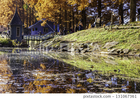 Akebono Children's Forest Park Autumn scenery Akebono Children's Forest Park Autumn scenery 131067361