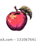 Vintage illustration of a red apple with green leaf on black background 131067641