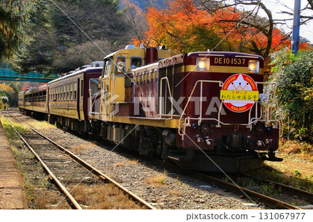 A trolley train runs along the autumnal railway... "Torokko Watarase Valley Train" at Sawaniri Station 131067977