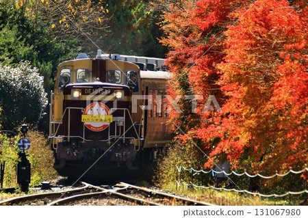 A trolley train runs along the autumnal railway... "Torokko Watarase Valley Train" at Sawaniri Station A trolley train runs along the autumnal railway... "Torokko Watarase Valley Train" at Sawaniri Station 131067980