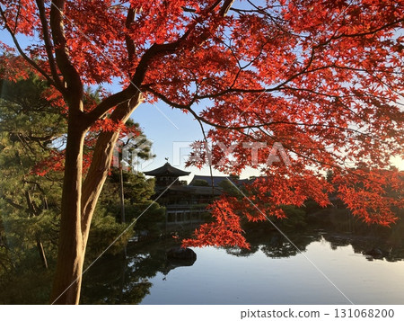 平安神宮太平閣被秋葉環繞 131068200