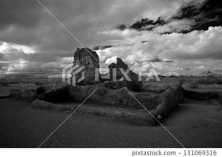 Casa Grande National Monument Black and White 131069316