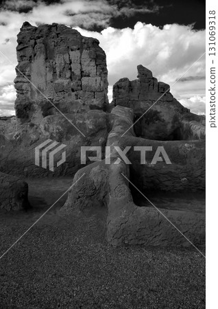 Casa Grande National Monument Black and White 131069318