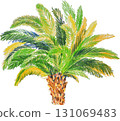 Hand-drawn colored pencils style tropical palm trees on white background 131069483