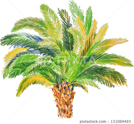 Hand-drawn colored pencils style tropical palm trees on white background Hand-drawn colored pencils style tropical palm trees on white background 131069483