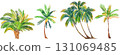 Hand-drawn colored pencils style set of tropical palm trees on white background 131069485