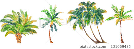 Hand-drawn colored pencils style set of tropical palm trees on white background Hand-drawn colored pencils style set of tropical palm trees on white background 131069485