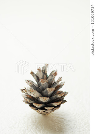Christmas image, pine cone, white background, simple image Christmas image, pine cone, white background, simple image 131069734