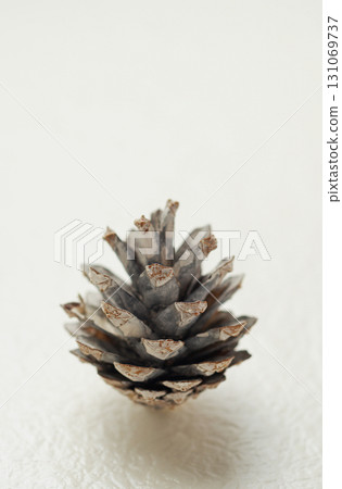 聖誕圖像,松果,白色背景,簡單圖像 聖誕圖像,松果,白色背景,簡單圖像 131069737