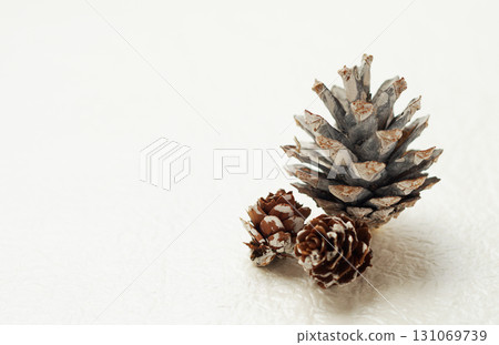 聖誕圖像，松果，白色背景，簡單圖像 131069739