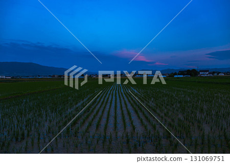 Rural landscape at dusk Rural landscape at dusk 131069751