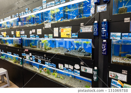 Konan Mitaka store, fish section, aquarium, Nozaki, Mitaka, Tokyo Konan Mitaka store, fish section, aquarium, Nozaki, Mitaka, Tokyo 131069788