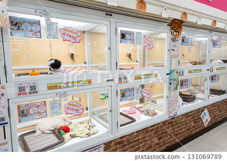 Kohnan Mitaka store, pet section, Nozaki, Mitaka, Tokyo Kohnan Mitaka store, pet section, Nozaki, Mitaka, Tokyo 131069789