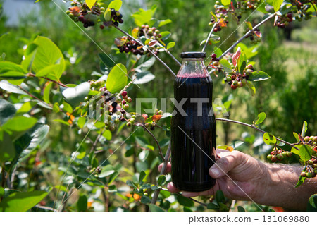 Rich and Refreshing Blueberry Juice in a Glass Bottle from Our Mini Farm. 131069880