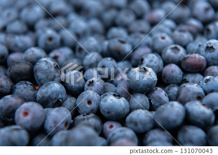 Close Up of Freshly Picked Blueberries Showcasing Natures Sweetness and Quality. 131070043