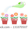 An illustration of three round flower pots lined up in a row being watered with a watering can 131070507