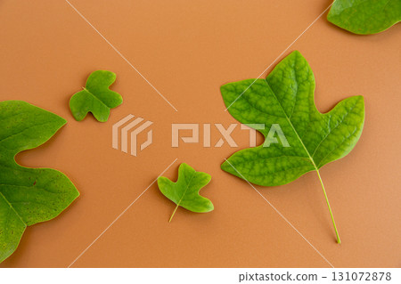 Green leaves beautifully arranged on warm orange background 131072878