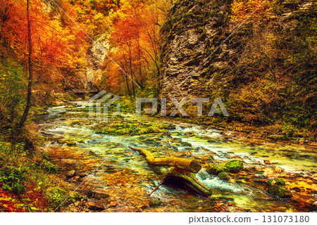 Vintgar gorge, Slovenia 131073180