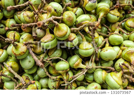 Unripe buah engkalak fruit from the tropical jungle of Borneo Sarawak is retailed in traditional market Unripe buah engkalak fruit from the tropical jungle of Borneo Sarawak is retailed in traditional market 131073567