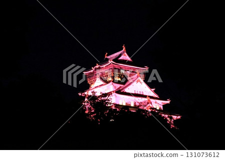 夜晚燈火通明的大阪城 夜晚燈火通明的大阪城 131073612