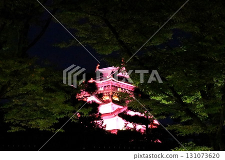 Osaka Castle illuminated at night Osaka Castle illuminated at night 131073620